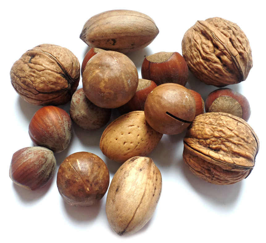 Nocciole